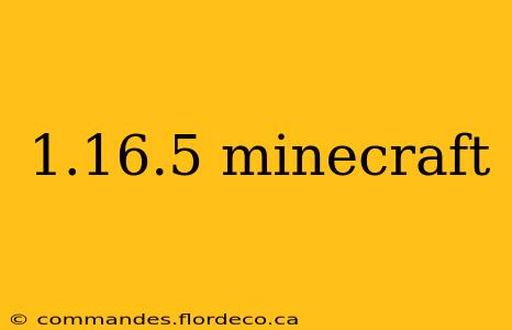 1.16.5 minecraft