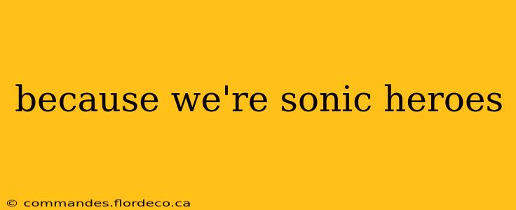 because we're sonic heroes