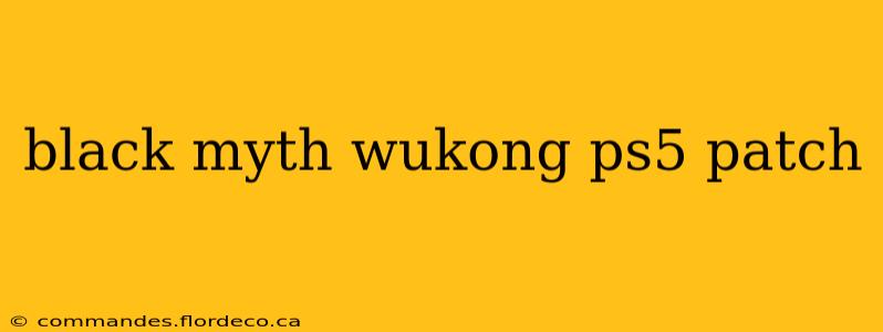 black myth wukong ps5 patch
