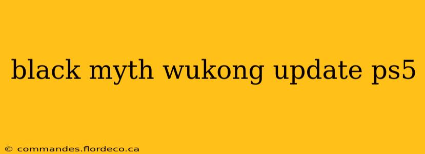 black myth wukong update ps5