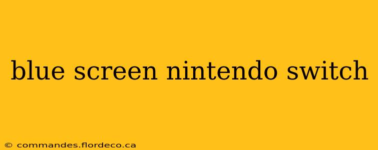 blue screen nintendo switch
