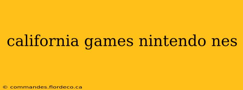 california games nintendo nes