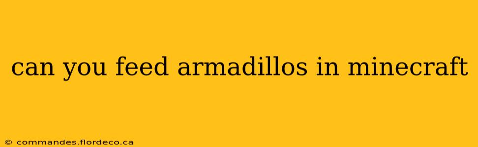 can you feed armadillos in minecraft
