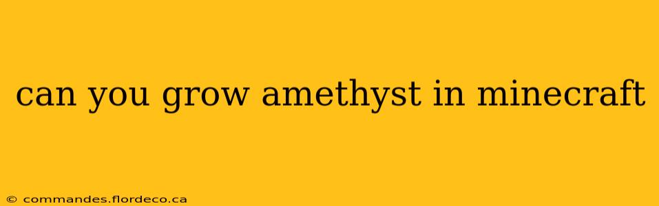 can you grow amethyst in minecraft