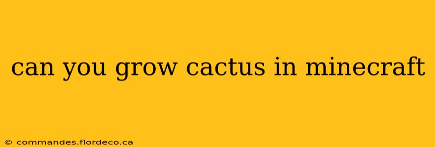 can you grow cactus in minecraft