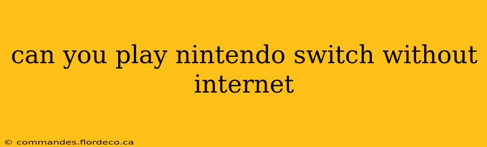 can you play nintendo switch without internet