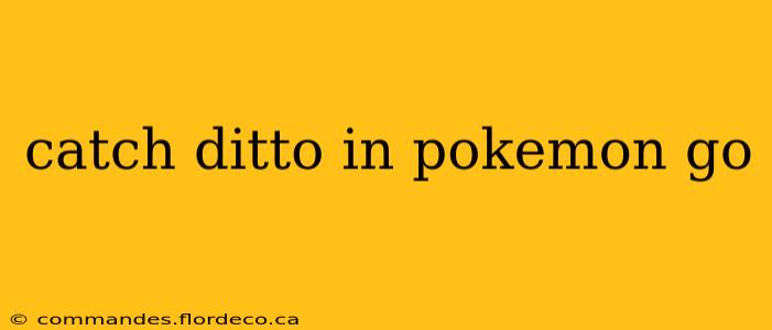 catch ditto in pokemon go