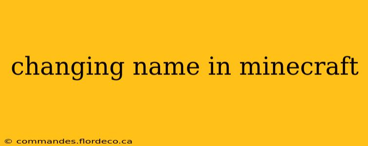 changing name in minecraft