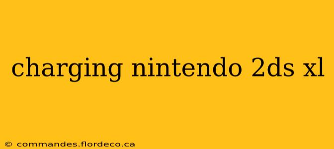 charging nintendo 2ds xl