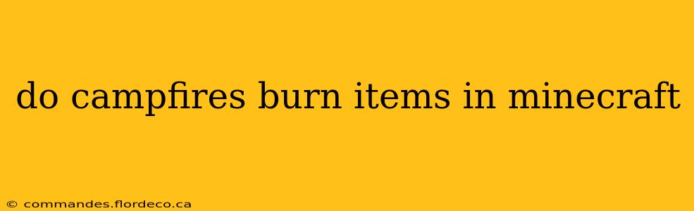 do campfires burn items in minecraft
