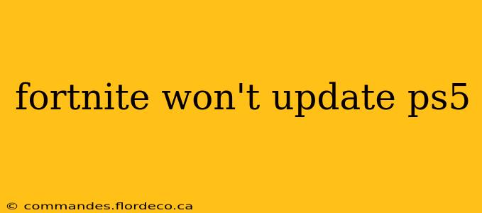 fortnite won't update ps5