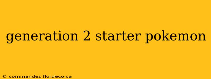 generation 2 starter pokemon