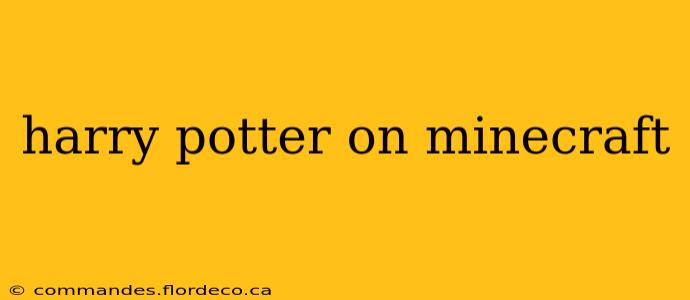 harry potter on minecraft