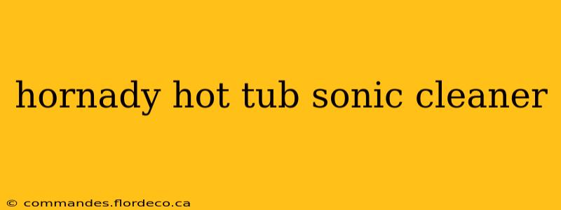hornady hot tub sonic cleaner