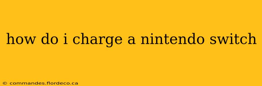 how do i charge a nintendo switch