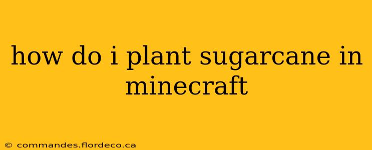 how do i plant sugarcane in minecraft