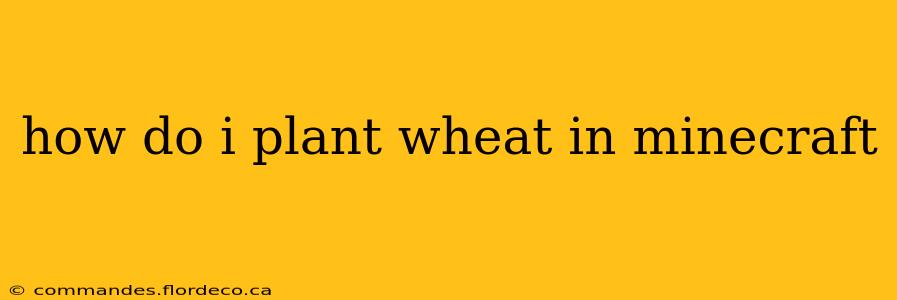 how do i plant wheat in minecraft