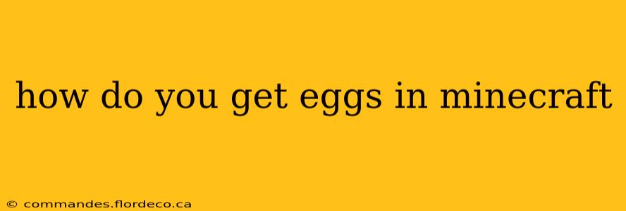 how do you get eggs in minecraft