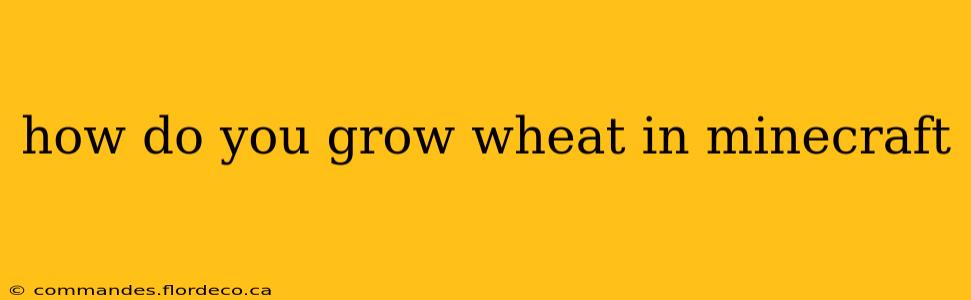 how do you grow wheat in minecraft
