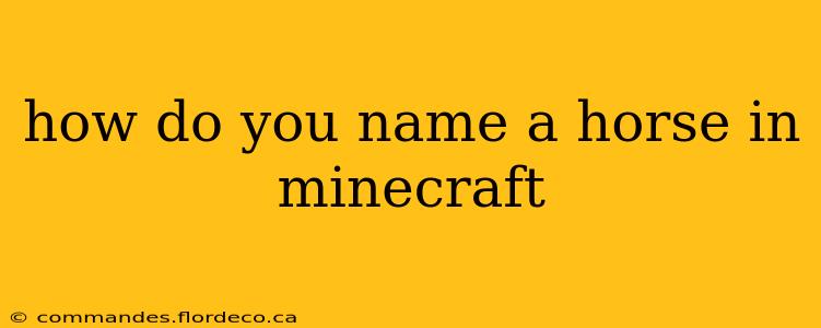how do you name a horse in minecraft
