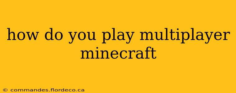how do you play multiplayer minecraft