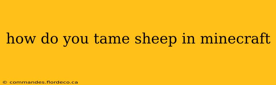 how do you tame sheep in minecraft