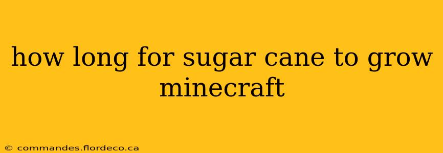 how long for sugar cane to grow minecraft