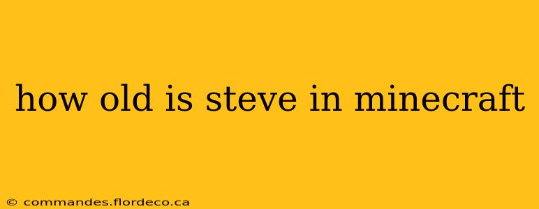 how old is steve in minecraft