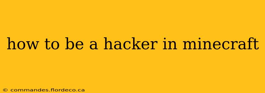 how to be a hacker in minecraft