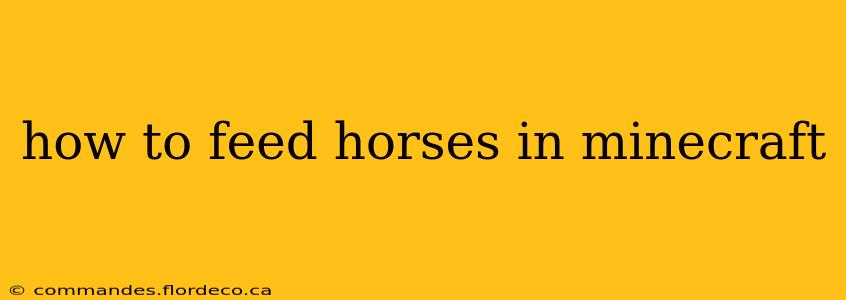 how to feed horses in minecraft