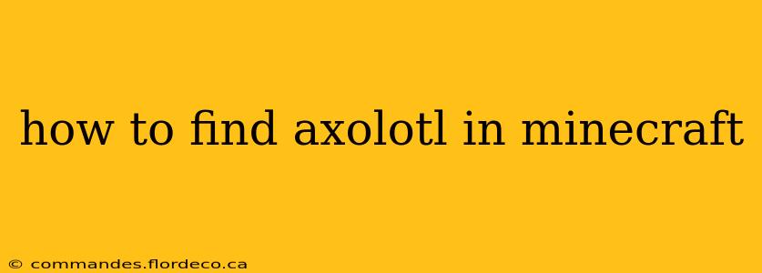 how to find axolotl in minecraft