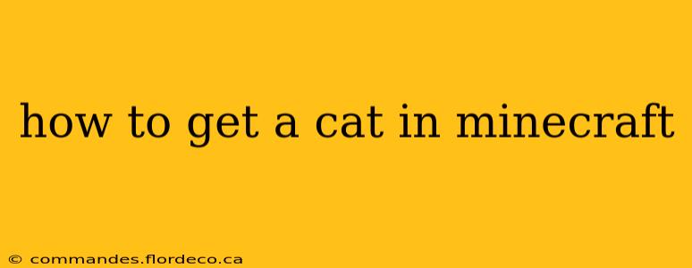 how to get a cat in minecraft