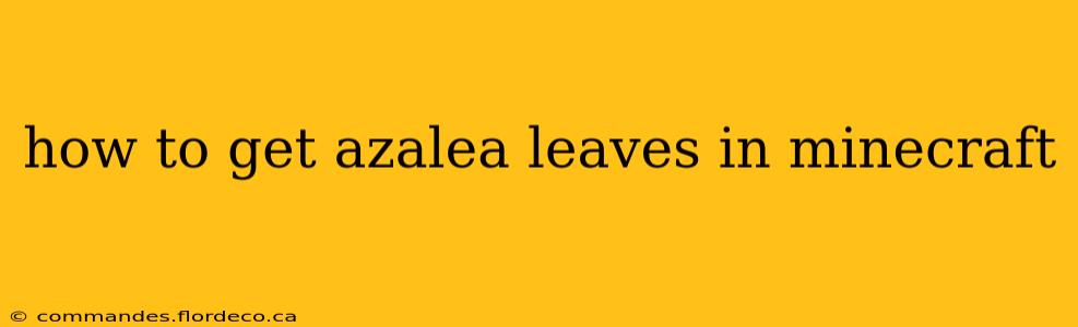 how to get azalea leaves in minecraft