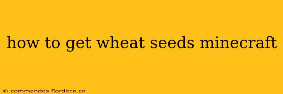 how to get wheat seeds minecraft