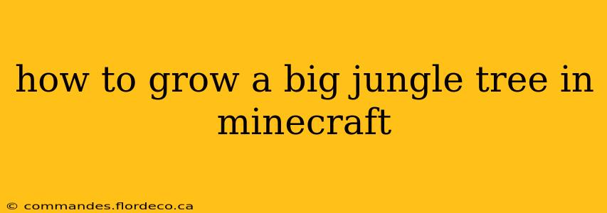 how to grow a big jungle tree in minecraft