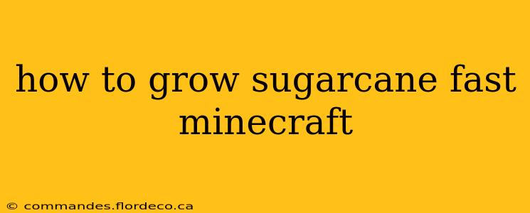 how to grow sugarcane fast minecraft