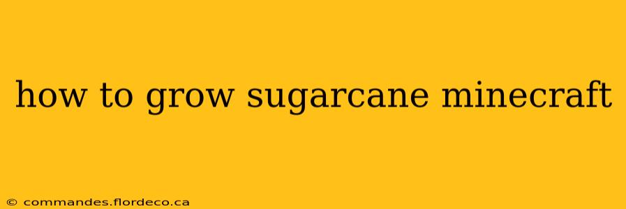 how to grow sugarcane minecraft