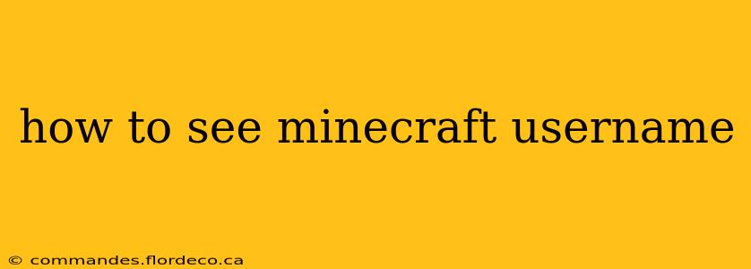 how to see minecraft username