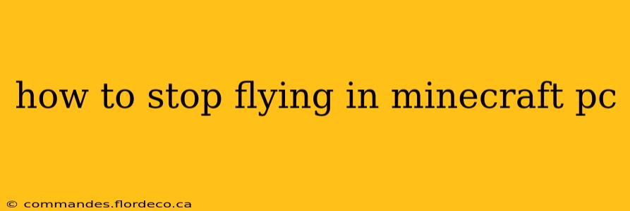 how to stop flying in minecraft pc