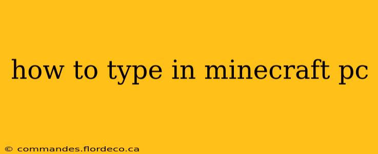 how to type in minecraft pc