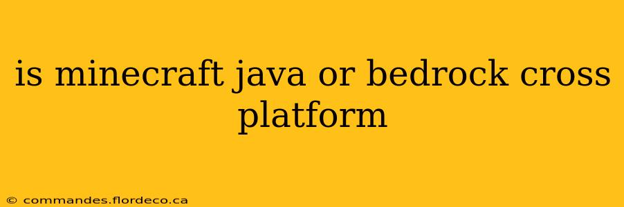 is minecraft java or bedrock cross platform