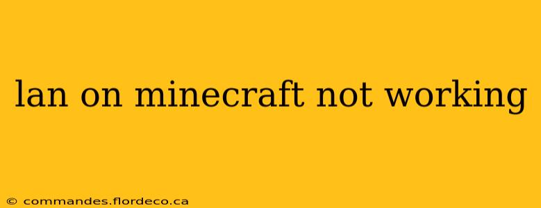 lan on minecraft not working