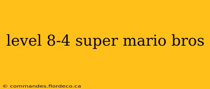 level 8-4 super mario bros