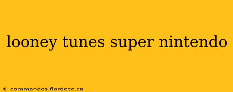looney tunes super nintendo