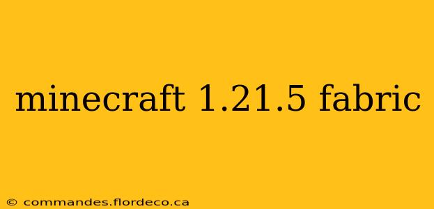 minecraft 1.21.5 fabric