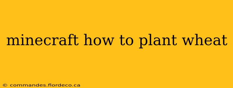 minecraft how to plant wheat