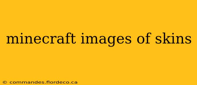 minecraft images of skins