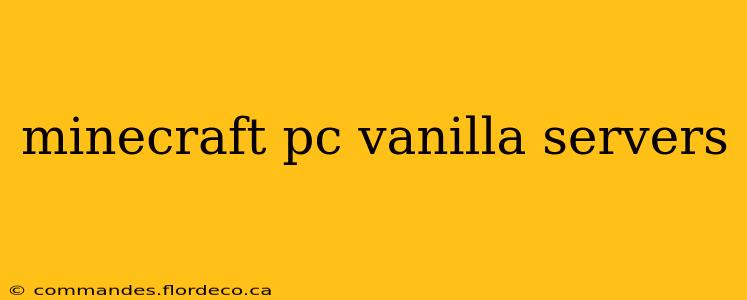 minecraft pc vanilla servers