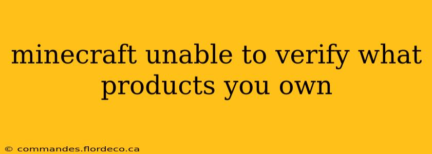 minecraft unable to verify what products you own
