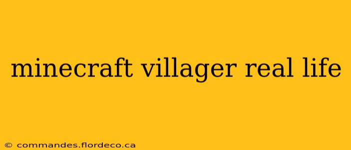 minecraft villager real life